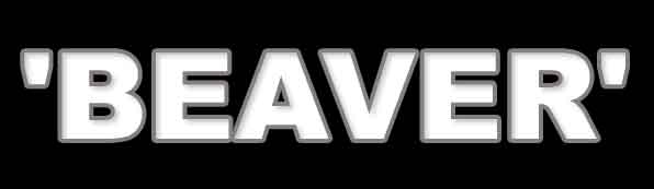 BEAVERmusic.com ... [castor fiber]